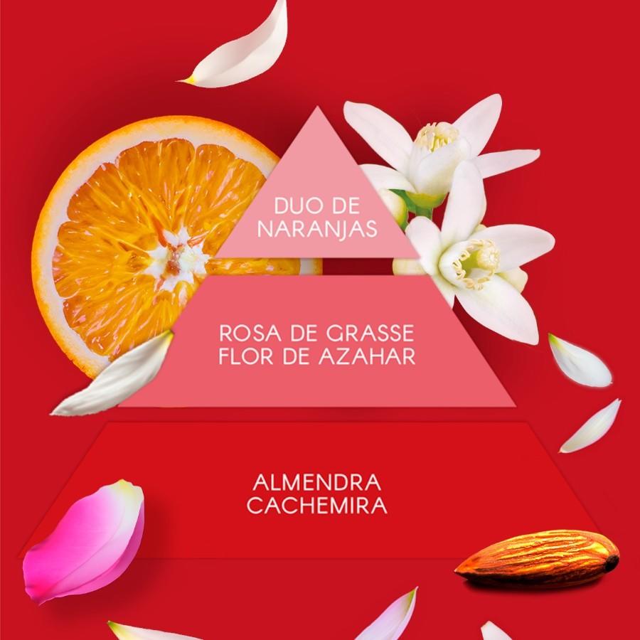 Eau de parfum Femme Don Algodon 30ml - Red Party