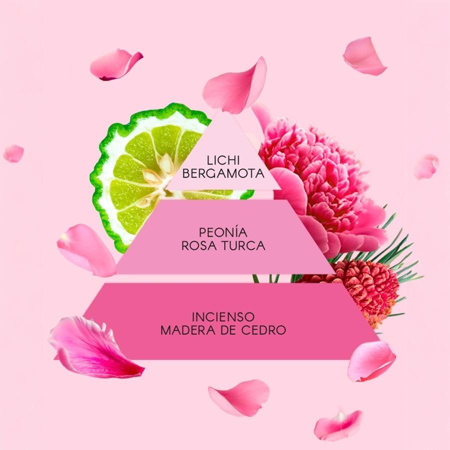 Eau de toilette femme 30ml Don Algodon - La vie en Rose